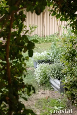 Image 26