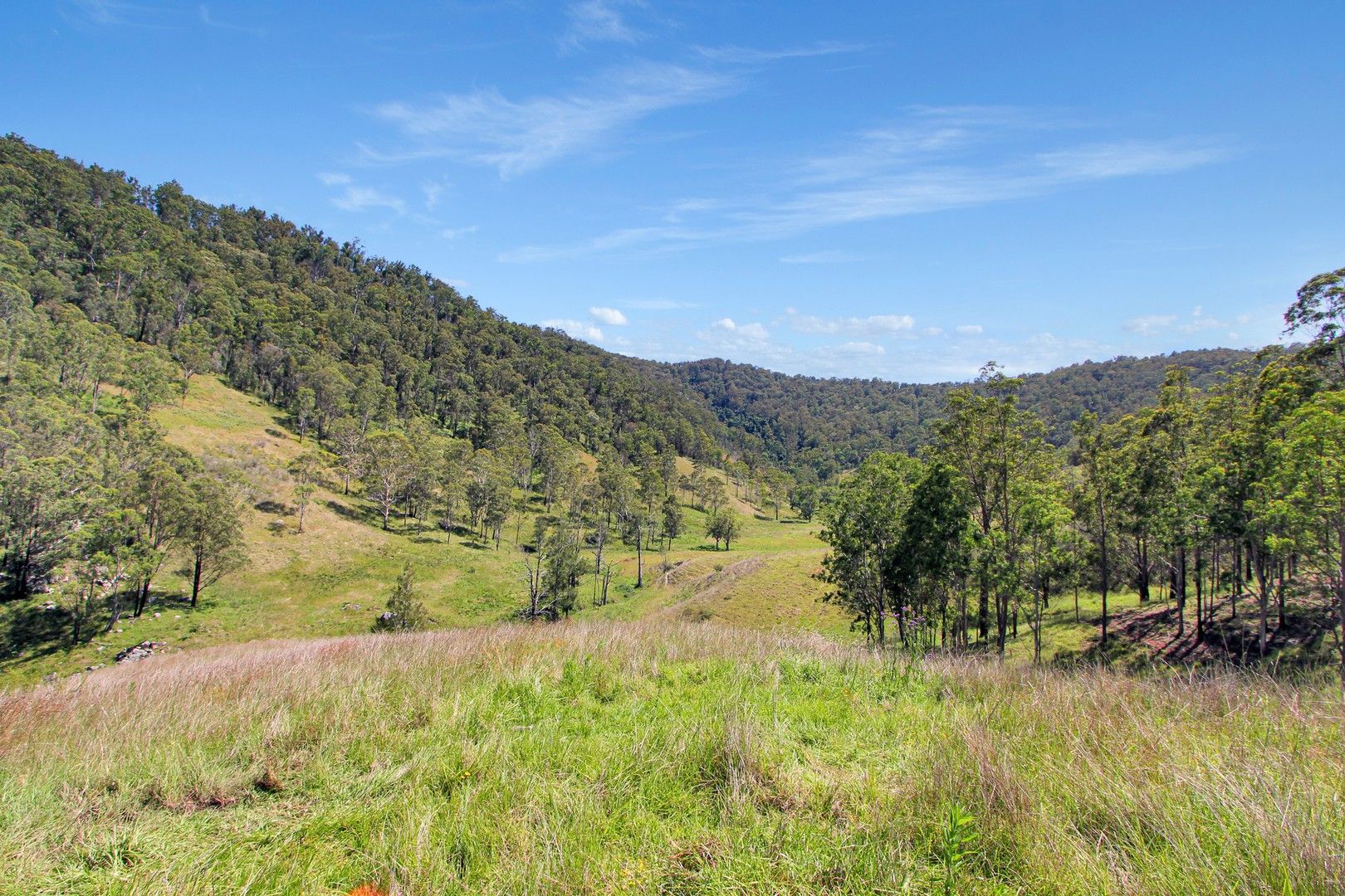 Cooplacurripa NSW 2424, Image 1