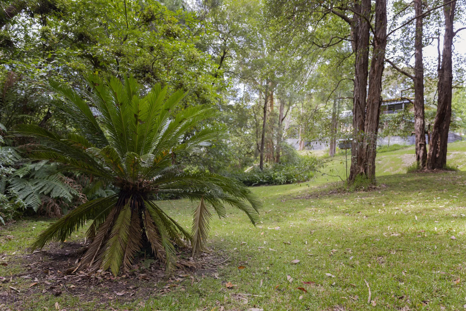 Additional image 20 of 126 Pacific Highway, Jewells NSW 2280