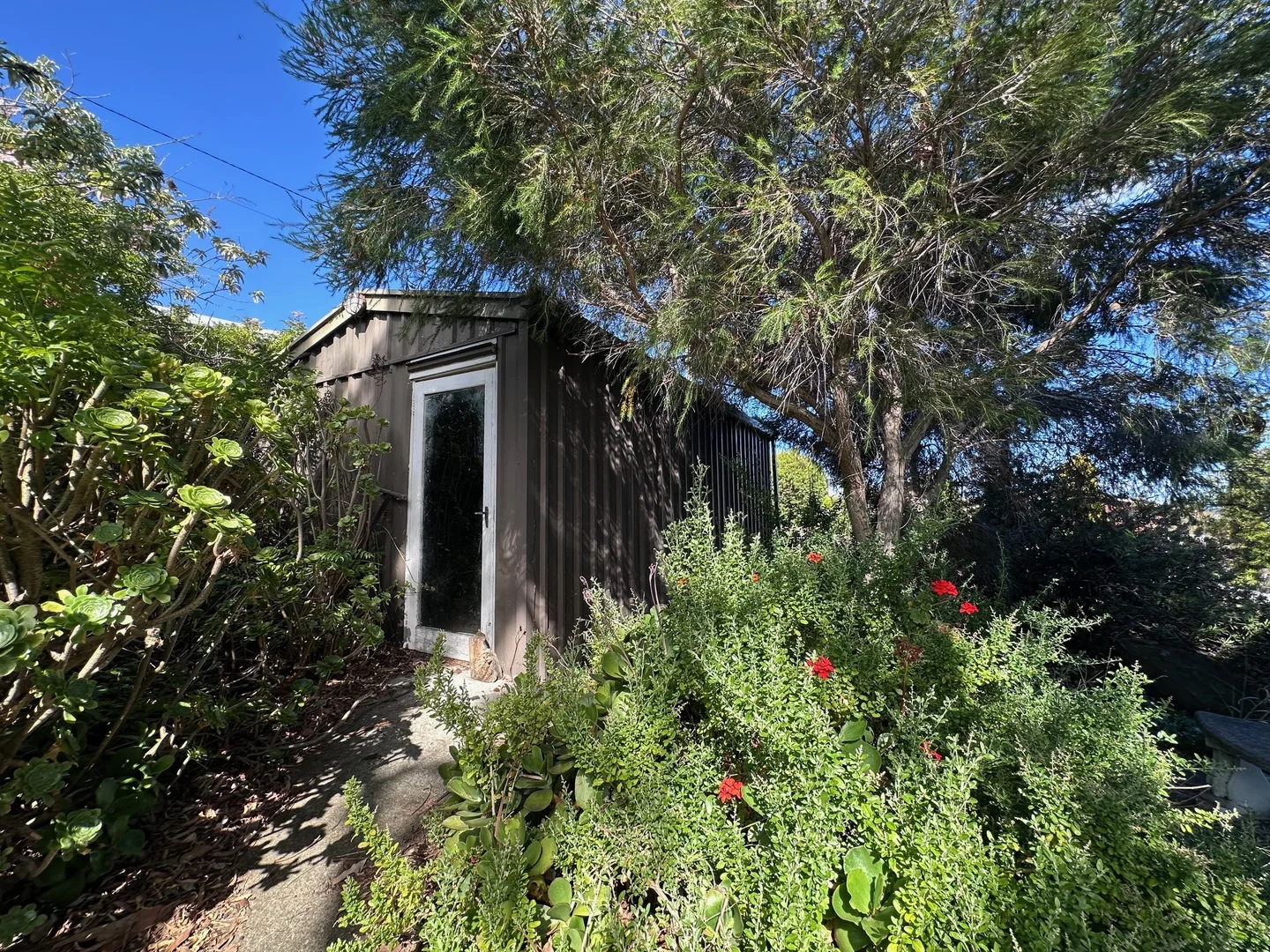 Image 61