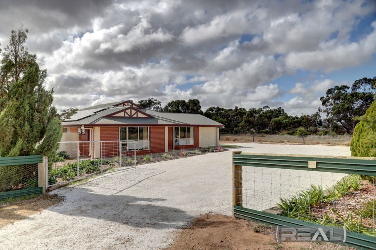 11 Palomino Court, Roseworthy SA 5371, Image 2