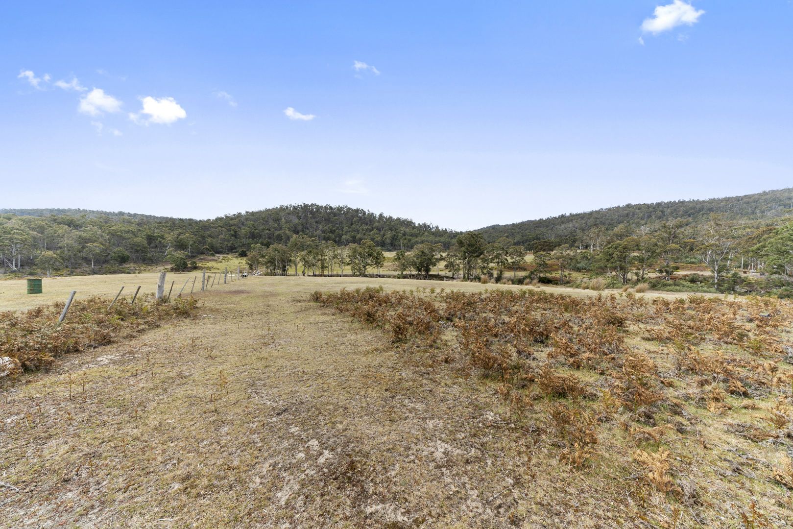 Lot 1 Link Road, Colebrook TAS 7027, Image 2