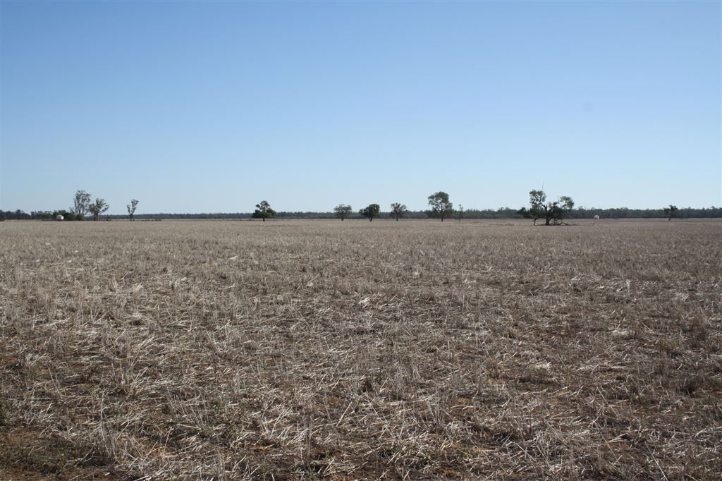 'Yarran' Pilliga Road, Coonamble NSW 2829, Image 2