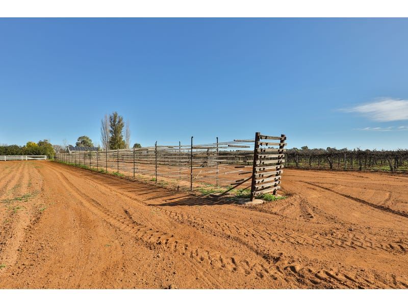 Lot 2, 1227 Karadoc Avenue, Irymple VIC 3498, Image 1