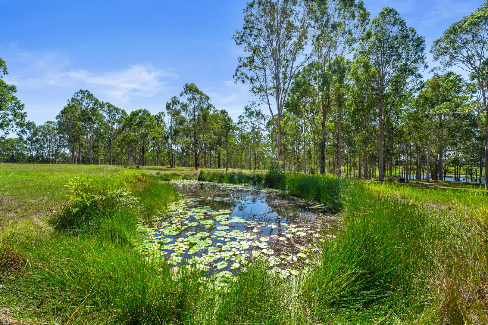 Additional image 8 of 18 - 26 Tintenbar Road, Rushforth NSW 2460