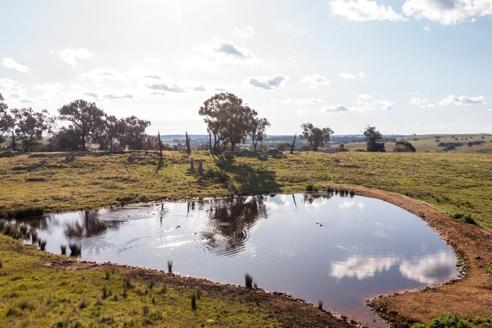 'Prospect' Sheridan Park Road, Boorowa NSW 2586, Image 2