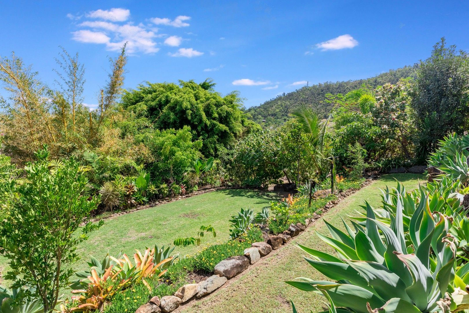 5 bedrooms House in 13 Woodwark Cres CANNONVALE QLD, 4802