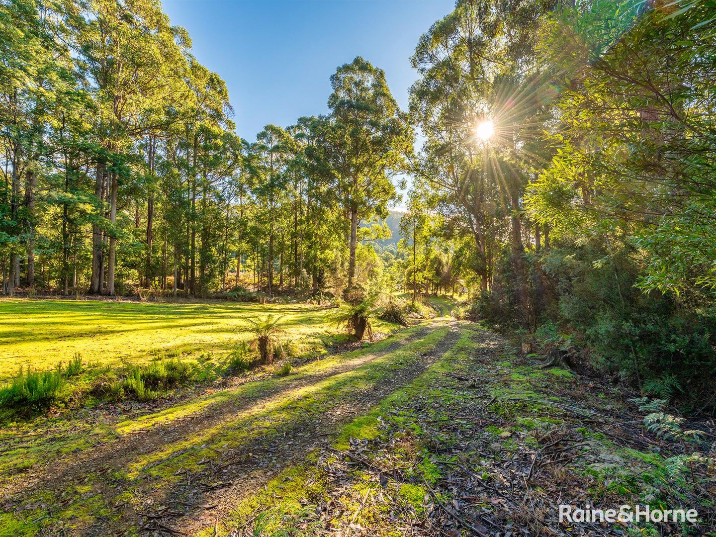 59 Slab Road, Middleton TAS 7163, Image 2