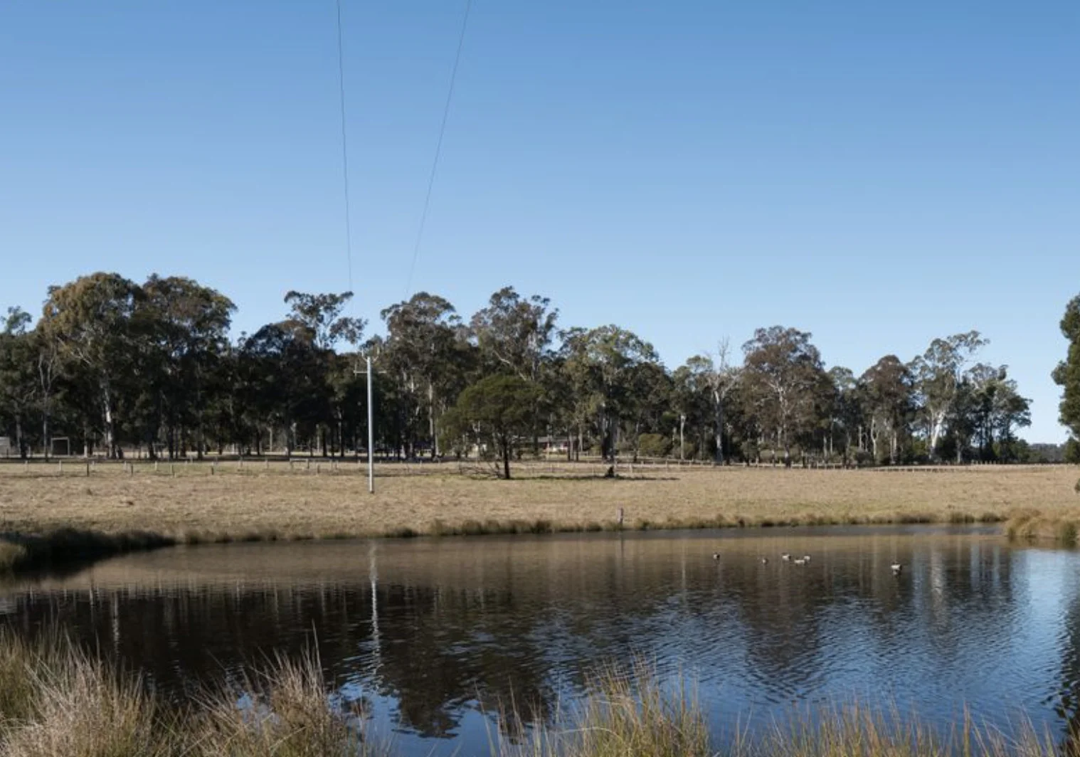 Additional image 34 of 874 Cobargo Bermagui Road, Coolagolite NSW 2550