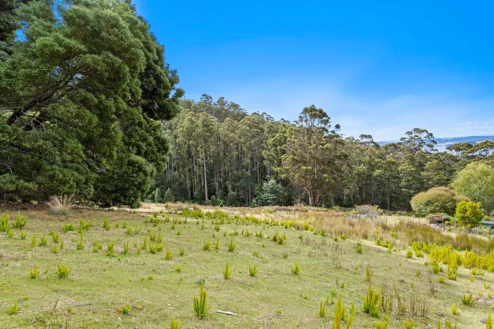 Additional image 18 of 284 Llantwit Road, Woodbridge TAS 7162