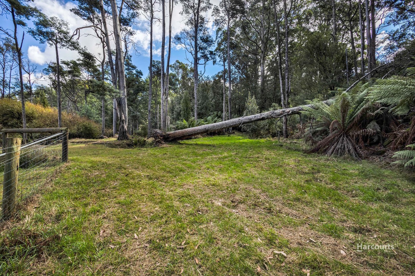 . Browns Lane, Penguin TAS 7316, Image 2