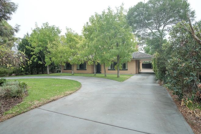 Picture of 20 Fulwood Avenue, TINTINARA SA 5266