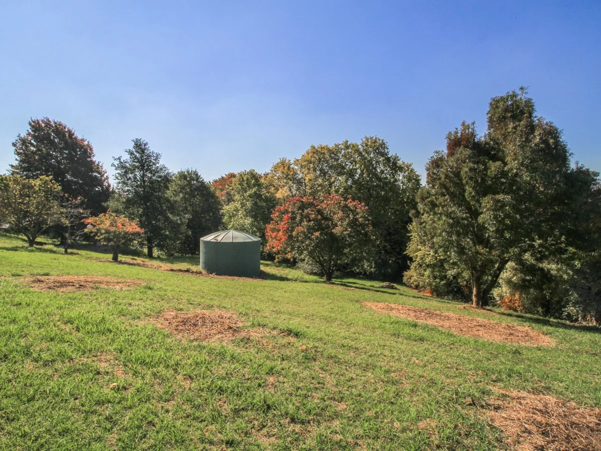 Additional image 4 of 1B John Court, Bairnsdale VIC 3875