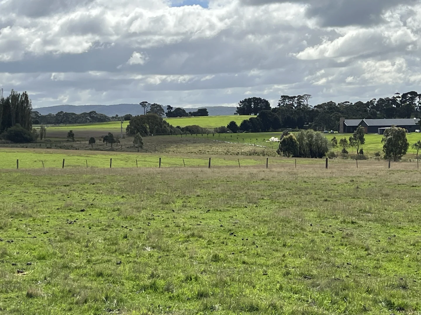 Image 10