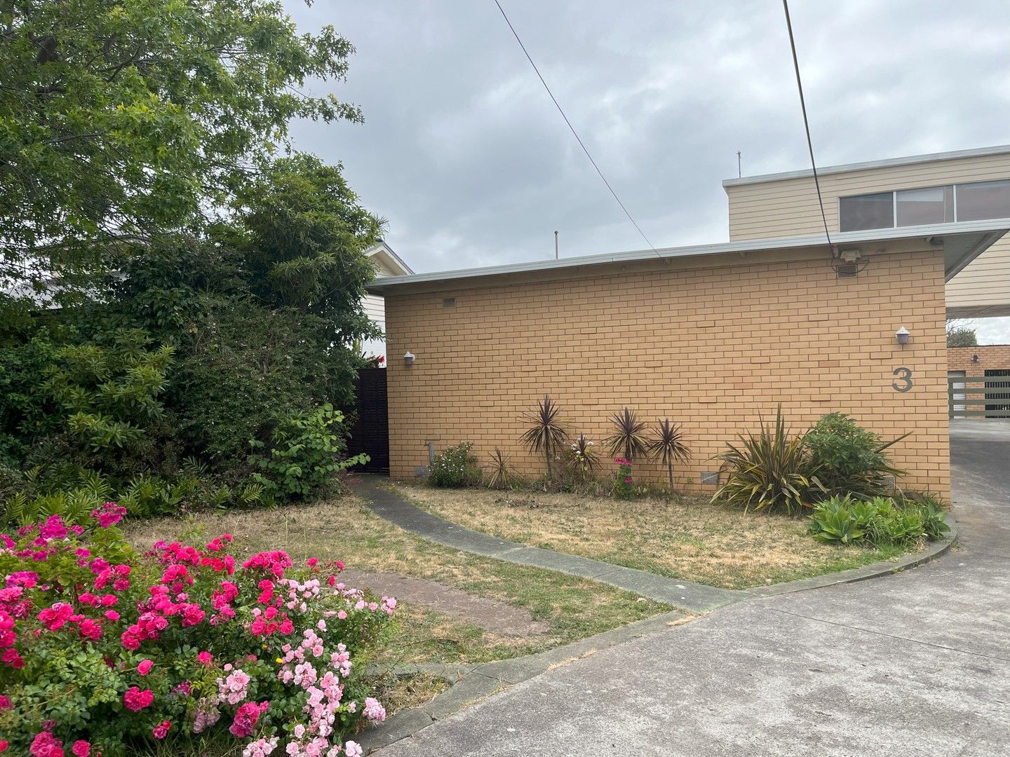 3 Forfar Road, Hamlyn Heights VIC 3215 House For Rent 490 Domain