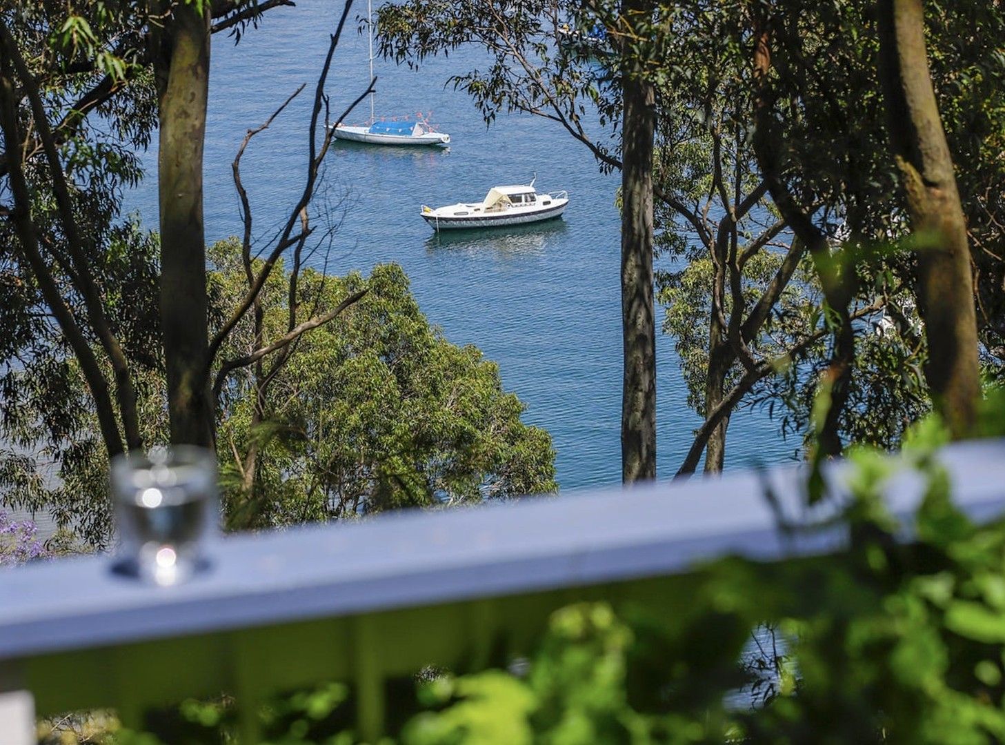 3 bedrooms House in 177 Prince Alfred Parade NEWPORT NSW, 2106