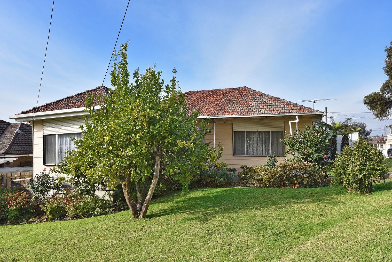 2 Shore Grove, Coburg North VIC 3058, Image 1