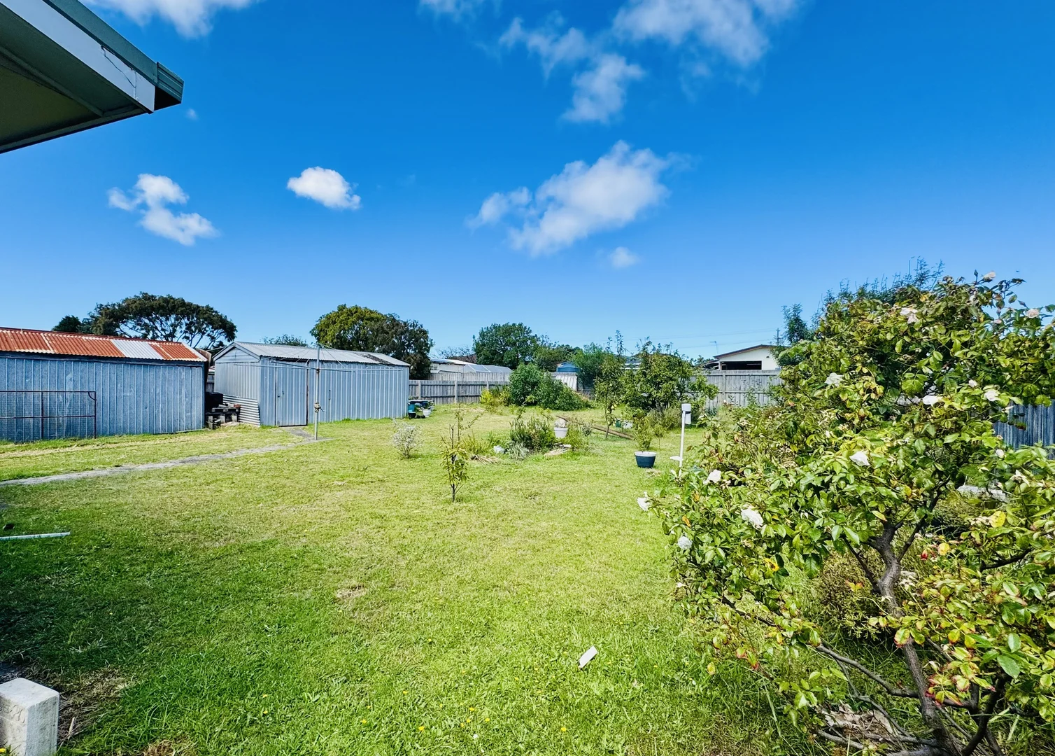Image 12