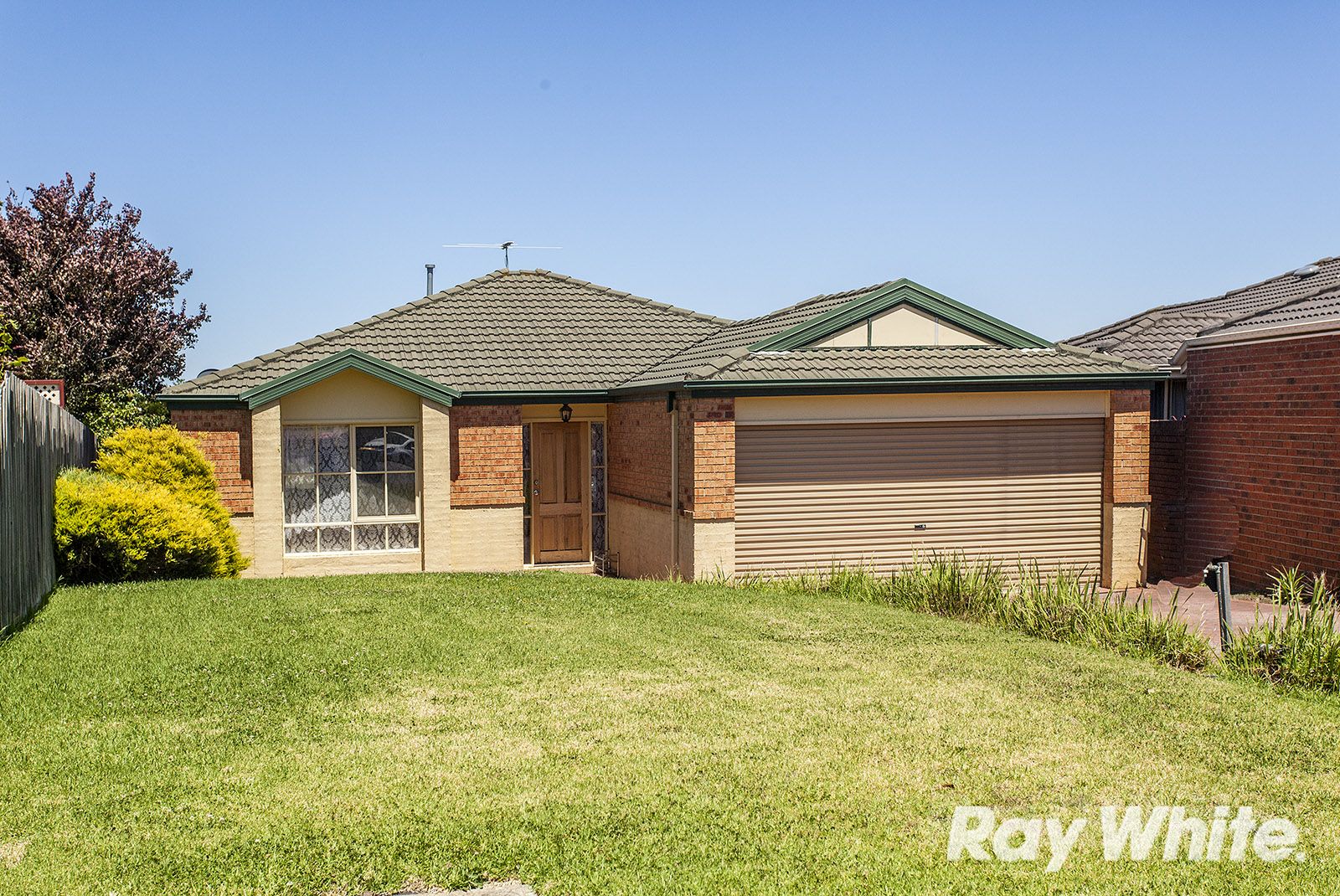 36 Holly Green Close, Rowville VIC 3178, Image 0