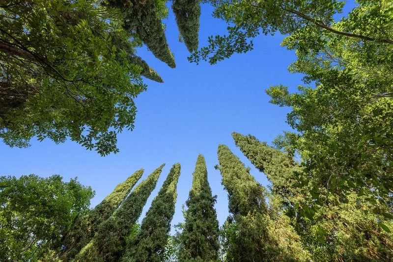 Image 32