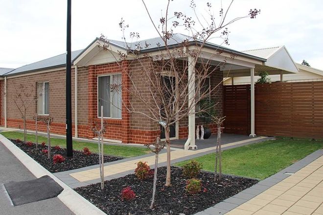209 Real Estate Properties For Sale In Cowandilla Sa 5033 Hilton Sa 5033 Marleston Sa 5033 Richmond Sa 5033 West Richmond Sa 5033 Domain