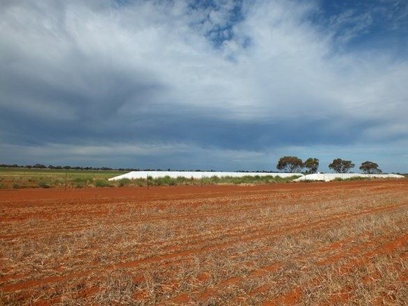 "Gunbar" Judds Lane, Weethalle NSW 2669, Image 0