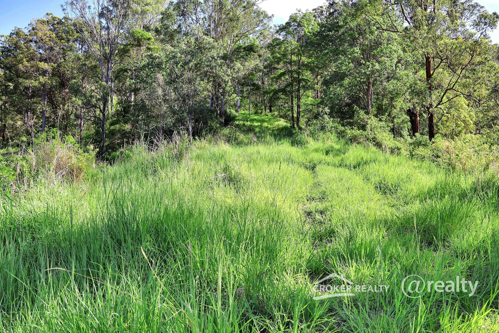 Additional image 10 of 260 Collins Valley Road, Collins Creek NSW 2474