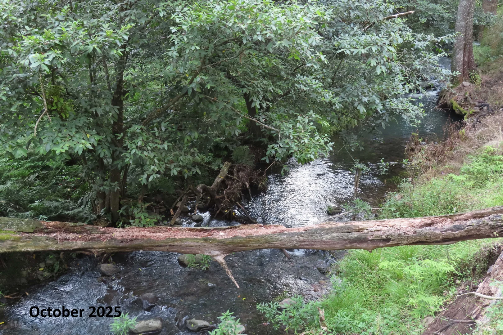 Image 10
