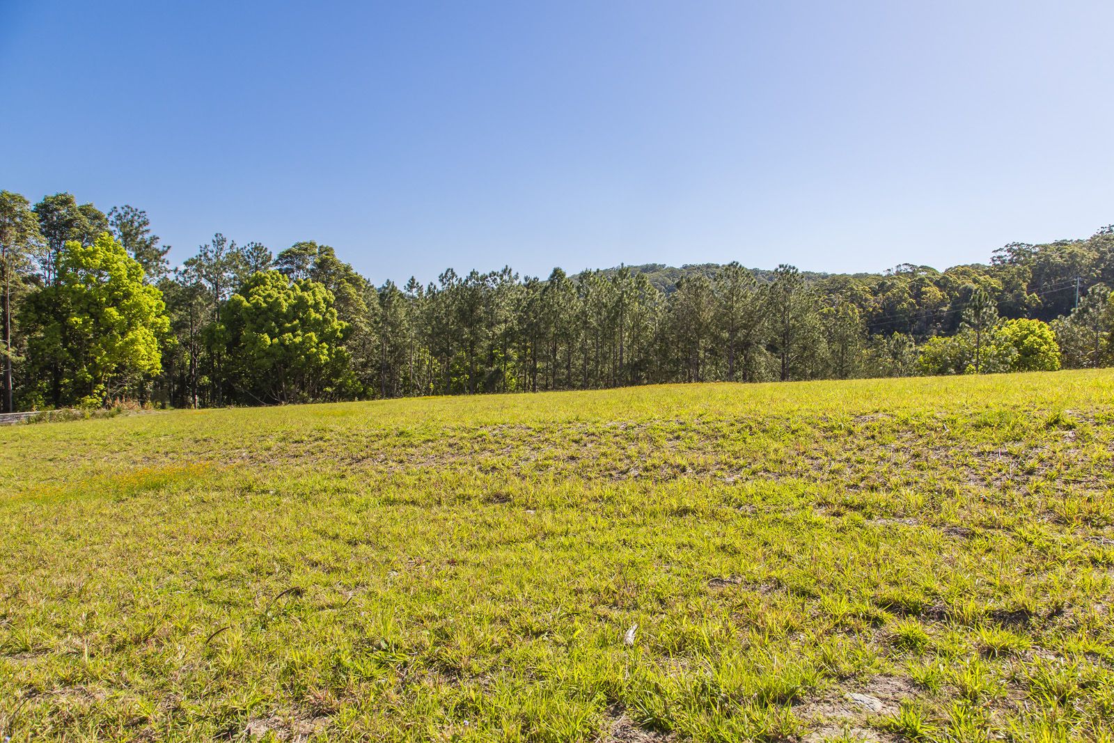 14 Powers Court, Eumundi QLD 4562, Image 0