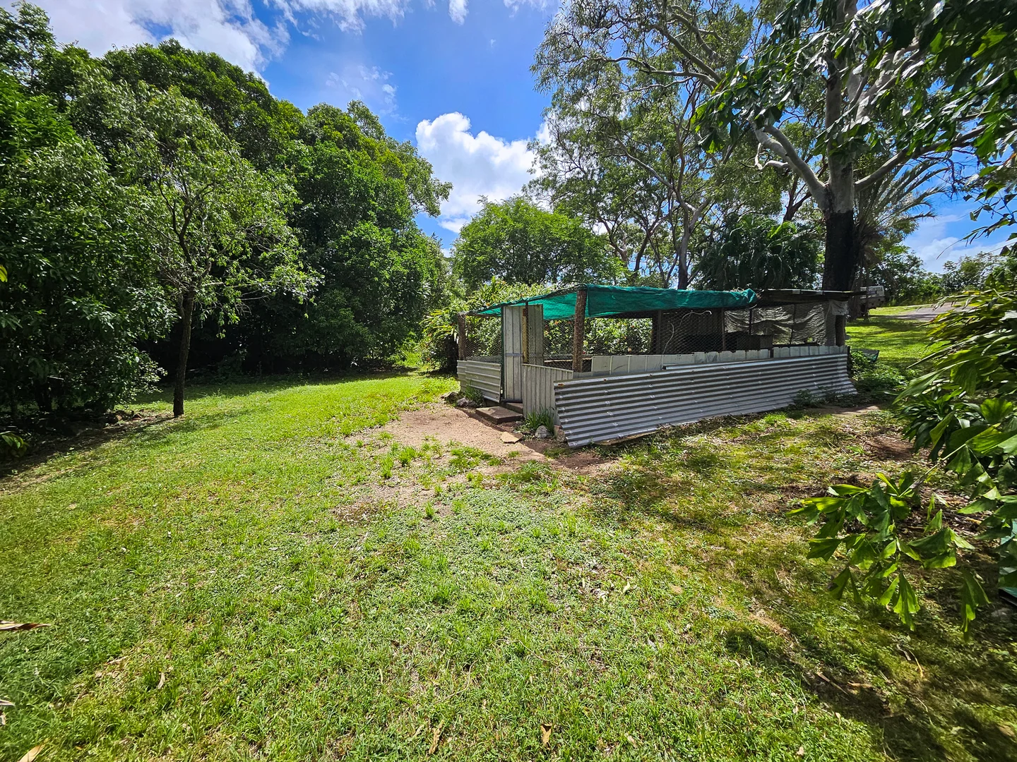 Image 13