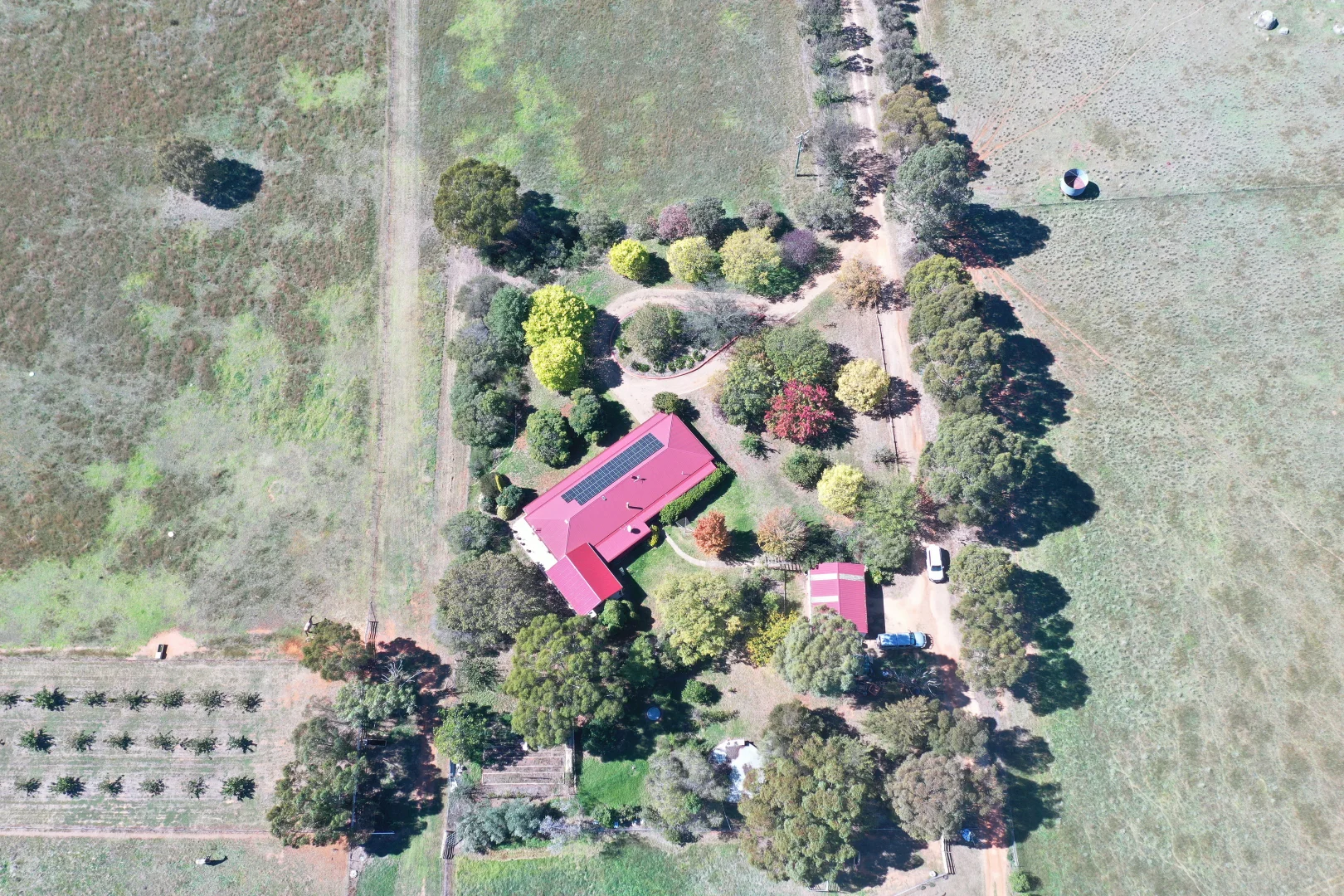 Additional image 3 of 216 Good Friday Gully Road Maimuru via, Young NSW 2594