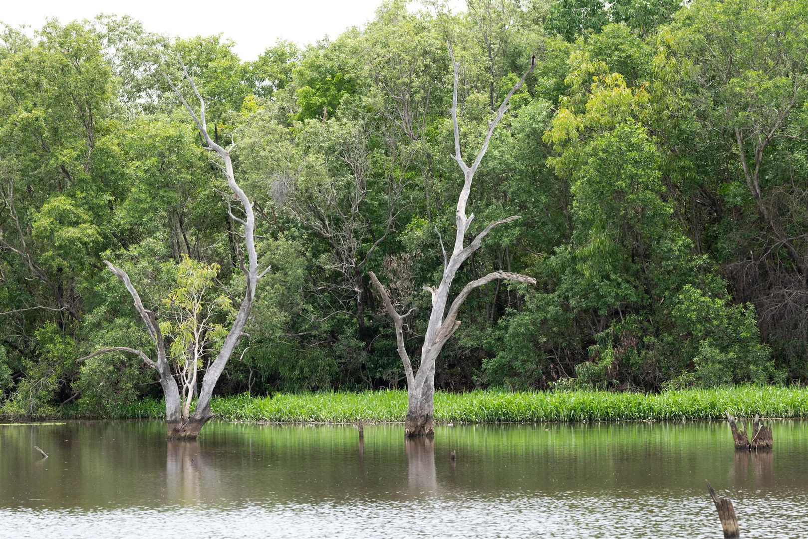 Additional image 15 of Douglas-Daly NT 0822