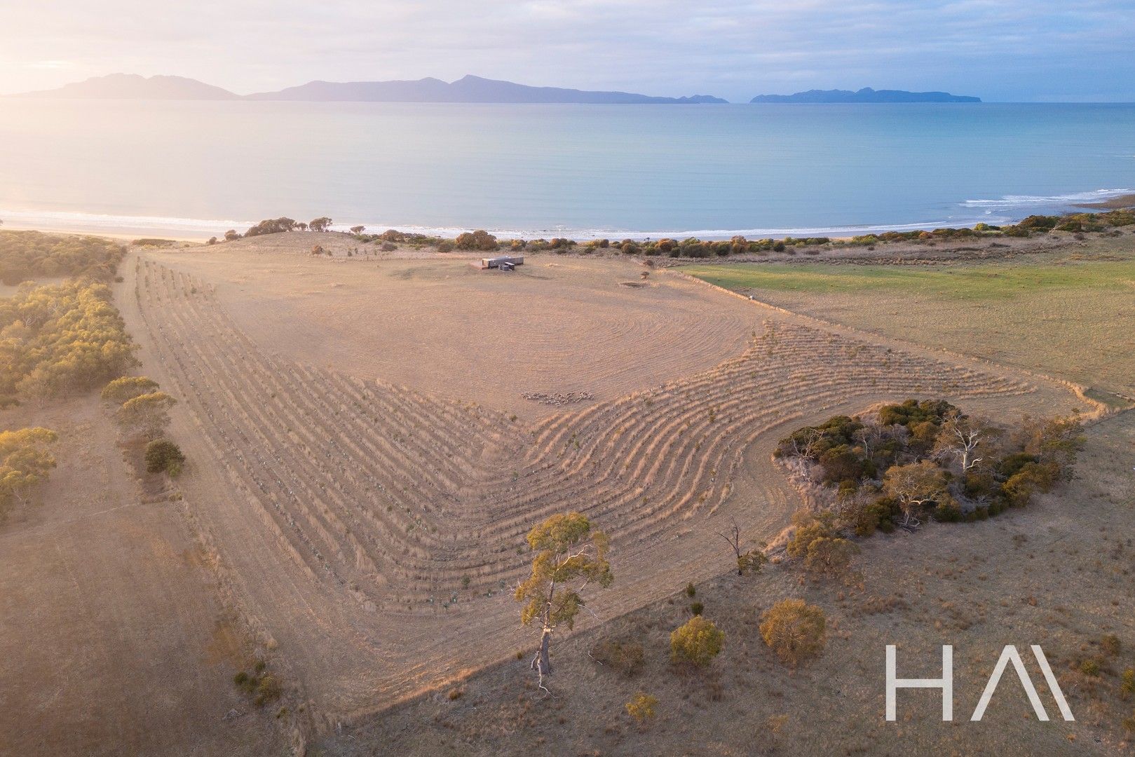 1 bedrooms House in 1/13054 Tasman Highway SWANSEA TAS, 7190