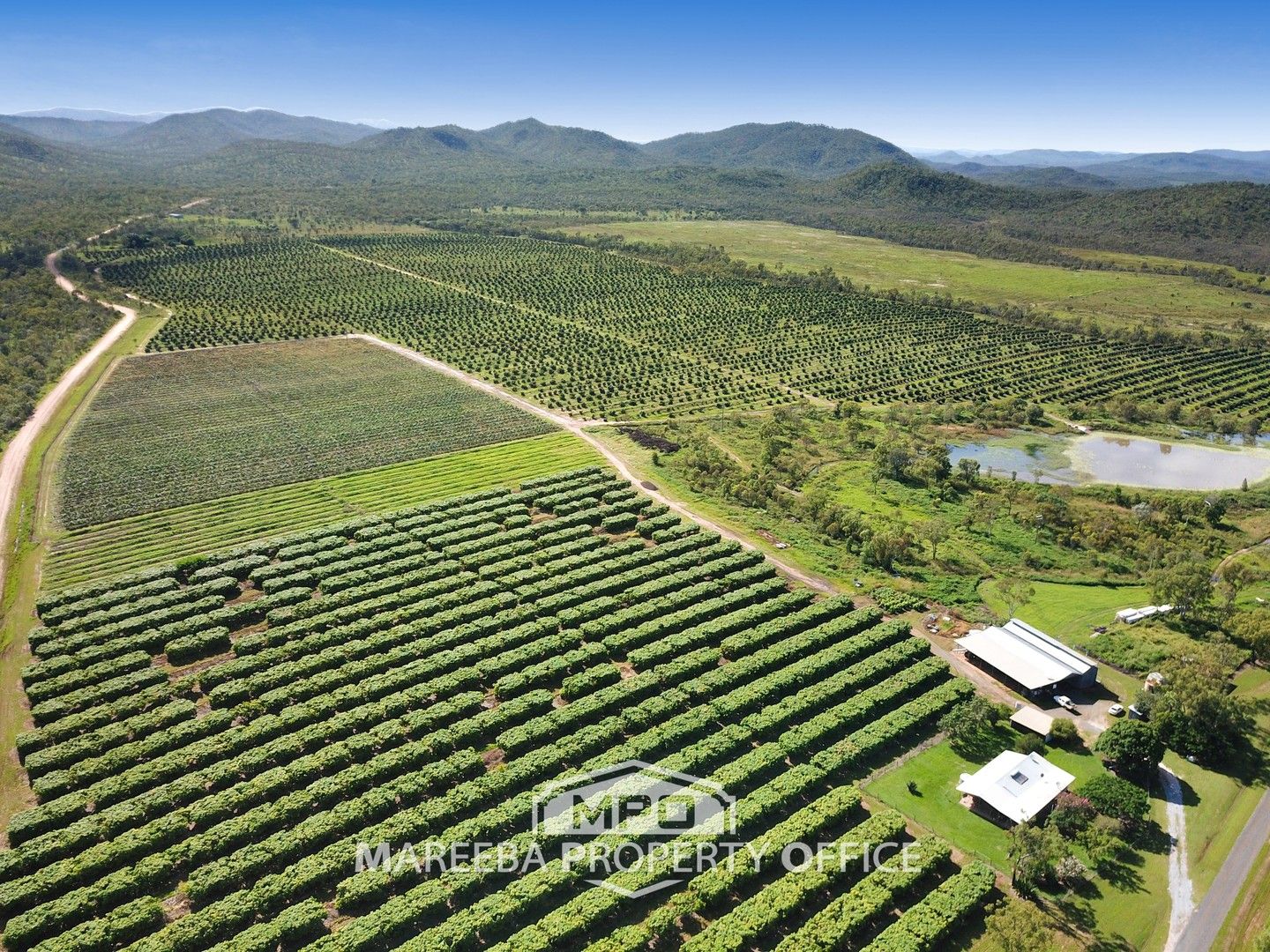 531 Boonmoo Road, Dimbulah QLD 4872 House for Sale Domain