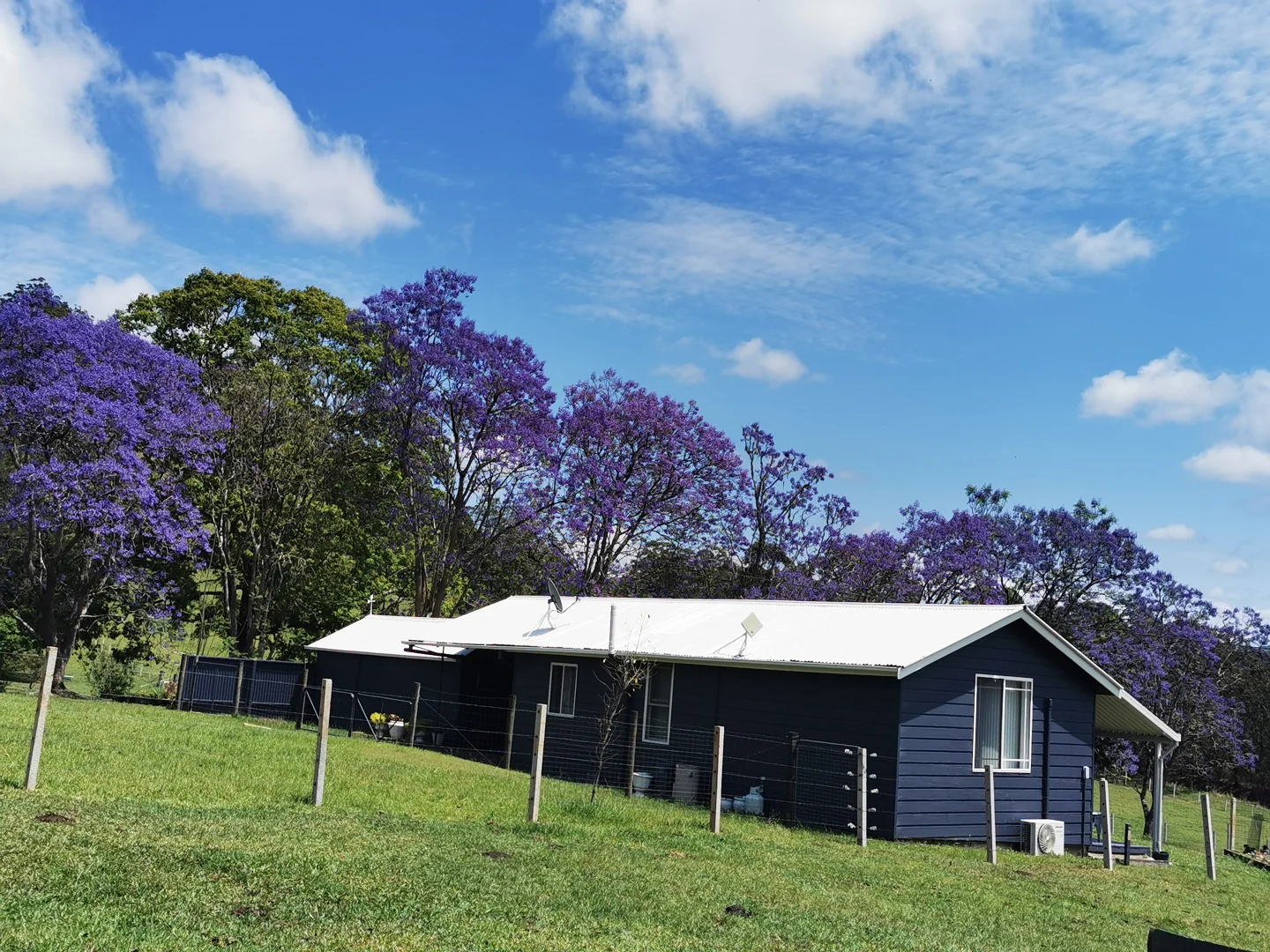 Image 21
