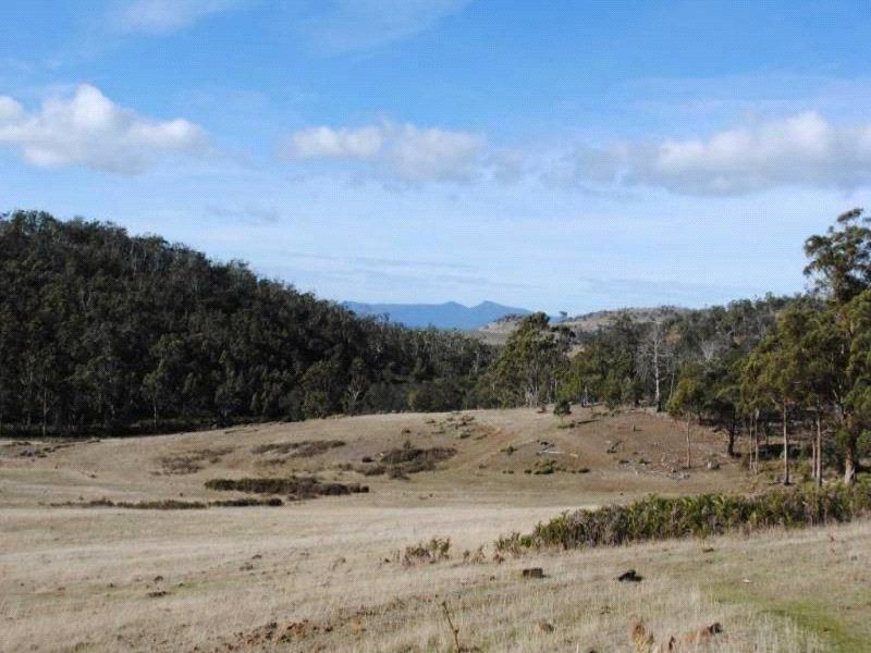 Lot 1 Triangle Marsh Road, Swansea TAS 7190, Image 0