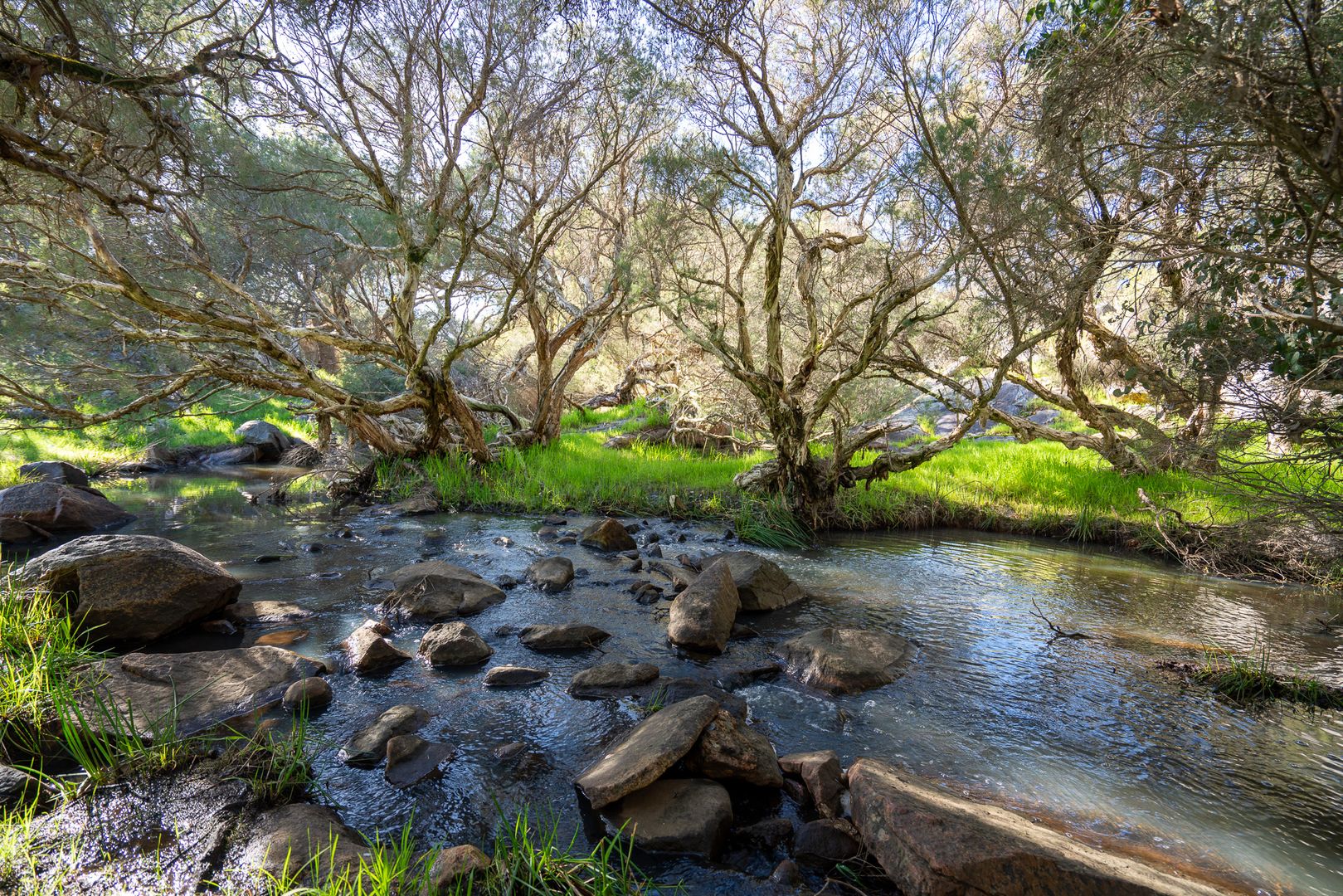 Hines Road, North Dandalup WA 6207, Image 1