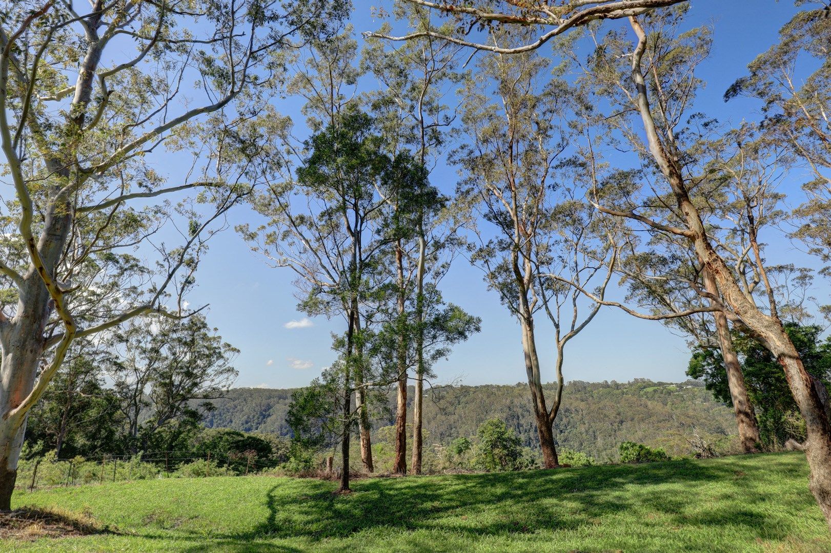 Montville QLD 4560, Image 0