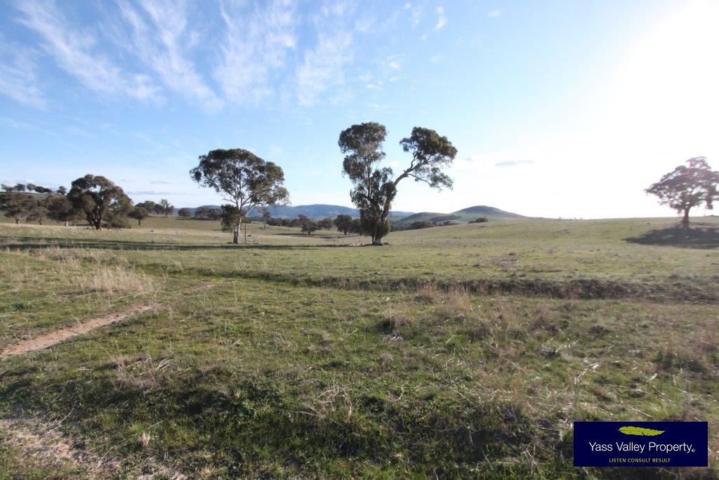 Reynolds Lane, Binalong NSW 2584, Image 1