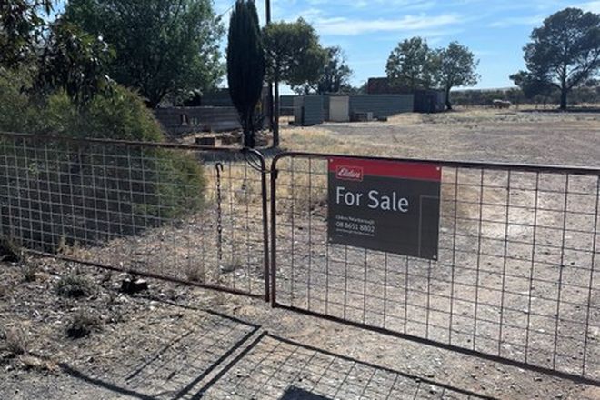 Whyte sale store