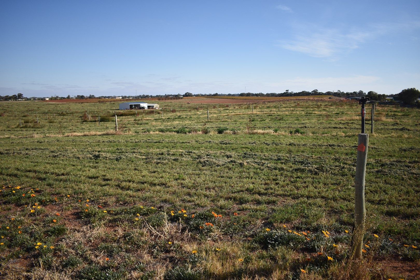 Lot 10 & 500 Gratwick Road, Loxton SA 5333, Image 1