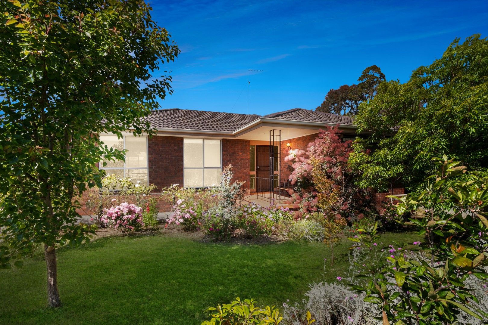 38 St James Street, St Albans Park VIC 3219, Image 0