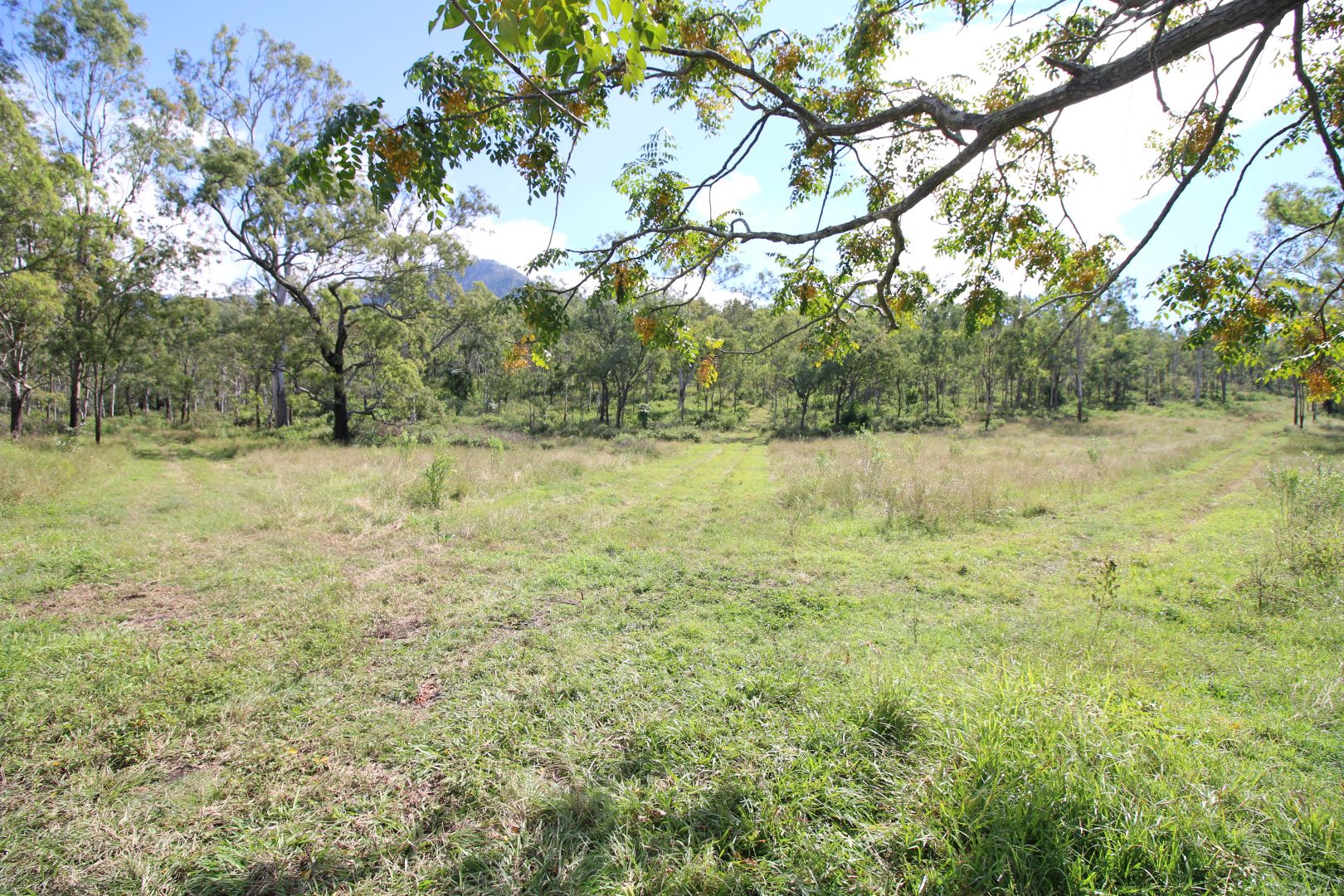 Thornton QLD 4341, Image 2