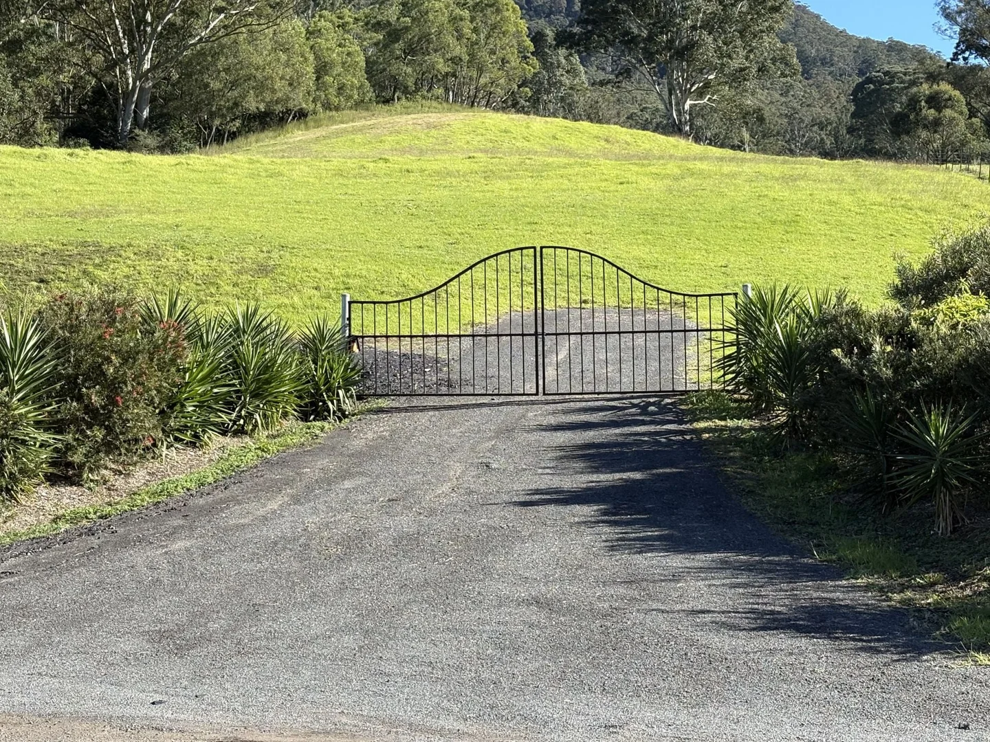 Image 15