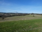 Image 14