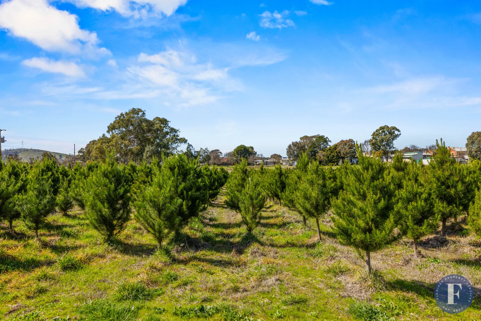 Additional image 9 of Lot 13/81 Campbell Street, Boorowa NSW 2586