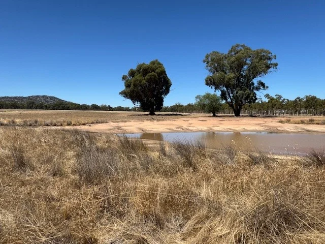 Image 13