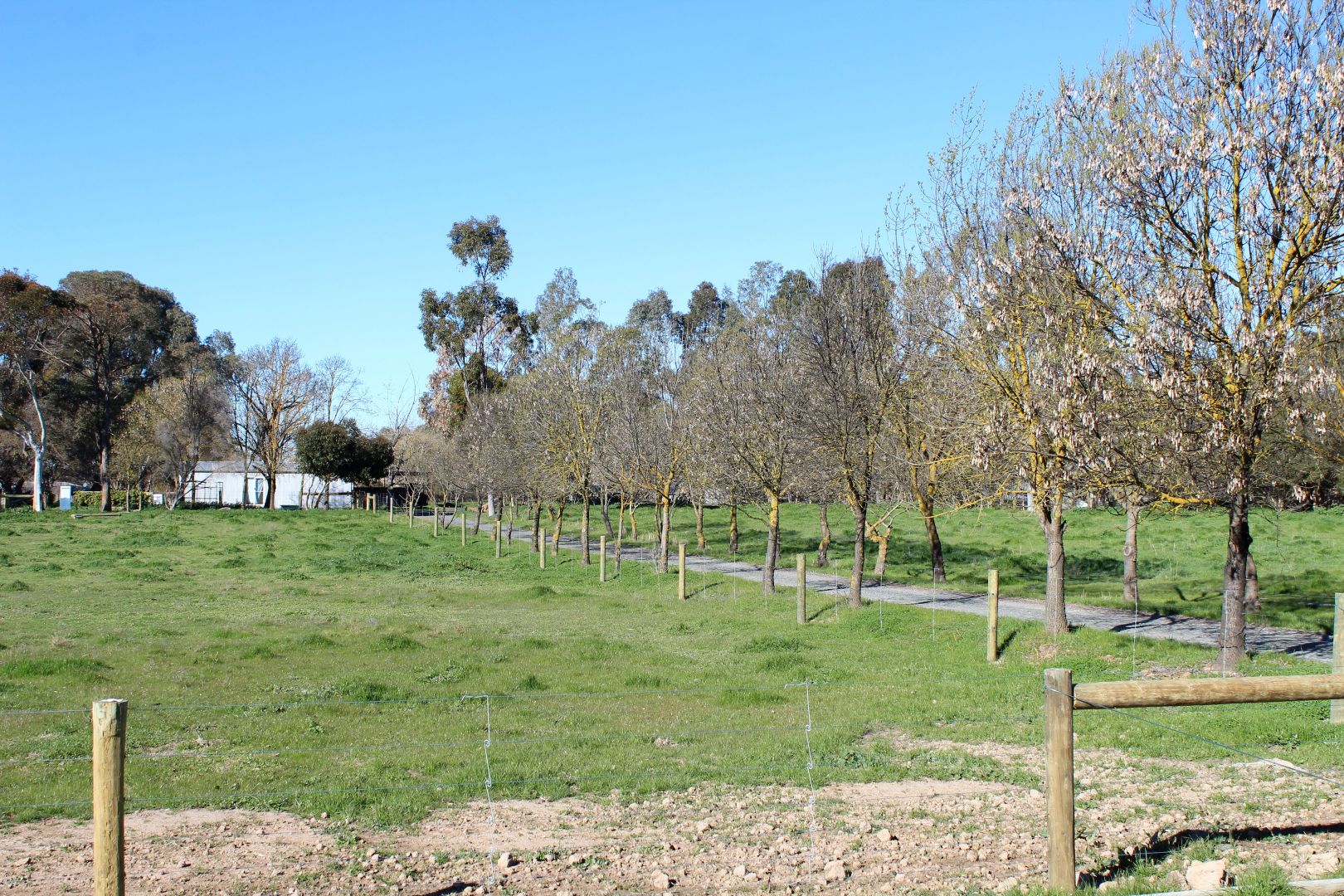 Lot 2, 36-46 Hampton Road, Tatura VIC 3616, Image 1