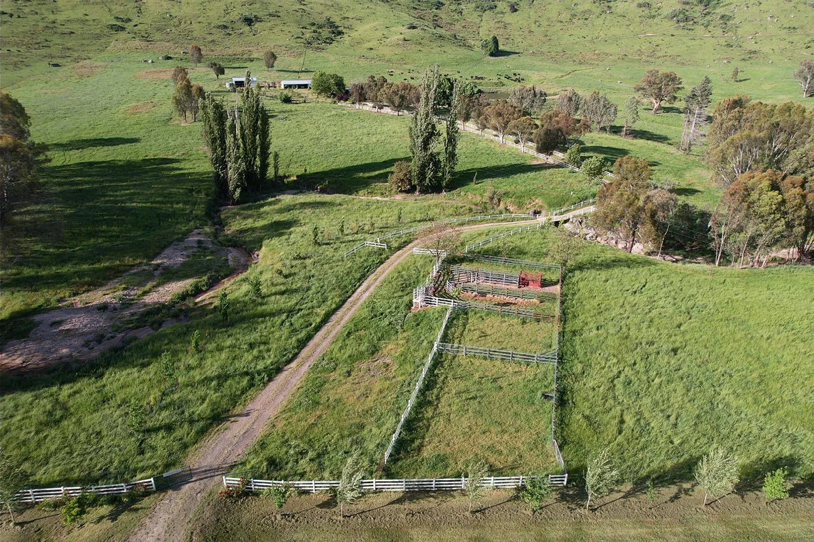 Image 12