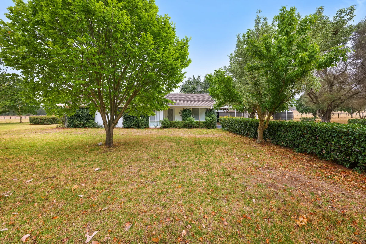 Additional image 7 of 164 Upper Dartbrook Road, Scone NSW 2337